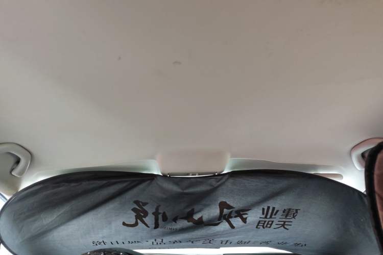 Used Volkswagen Polo 2014 1.4L Manual Fashion Edition Headliner