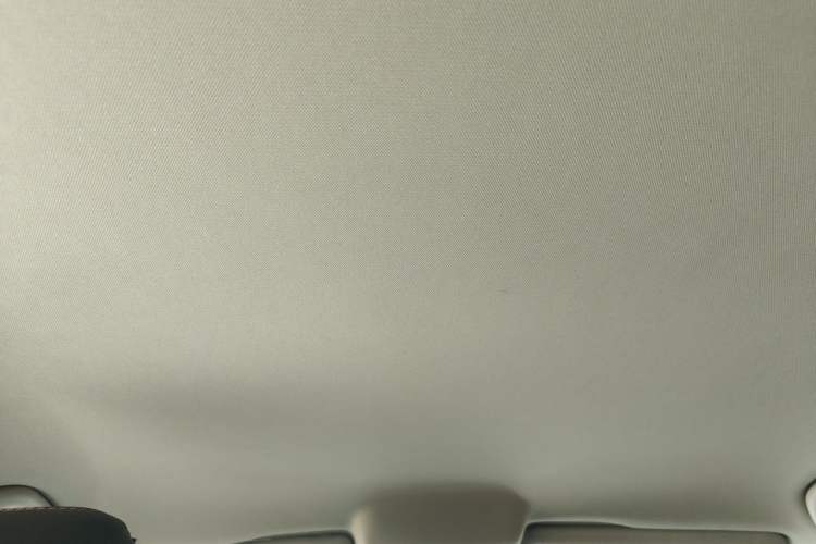 Used Volkswagen Polo 2014 1.6L Automatic Comfort Edition Headliner