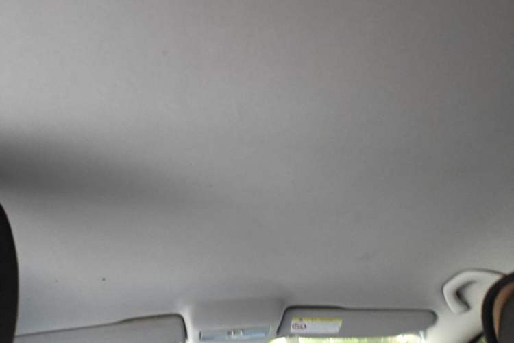 Used Volkswagen Polo 2014 1.6L Automatic Comfort Edition Headliner