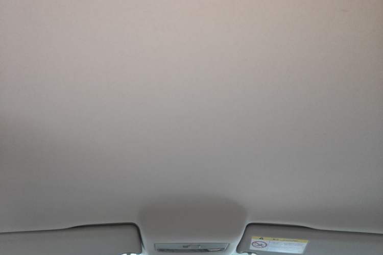 Used Volkswagen Polo 2014 1.6L Automatic Comfort Edition Headliner