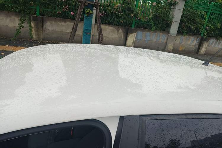 Used Volkswagen Polo 2014 1.6L Automatic Comfort Edition Roof
