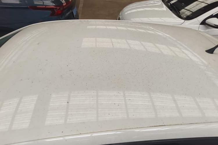 Used Volkswagen Polo 2014 1.4L Manual Fashion Edition Roof