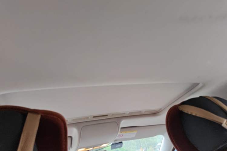 Used Volkswagen Polo 2014 1.6L Cross Polo Automatic Headliner