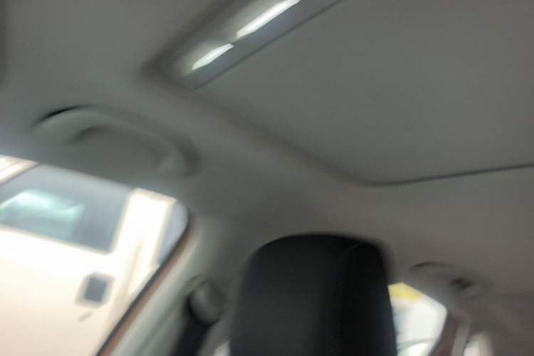Used Volkswagen Polo 2014 1.6L Cross Polo Automatic Headliner
