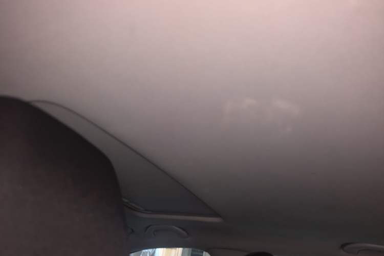 Used Volkswagen Polo 2014 1.6L Cross Polo Automatic Headliner