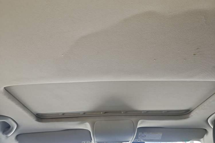 Used Volkswagen Polo 2014 1.6L Cross Polo Automatic Headliner