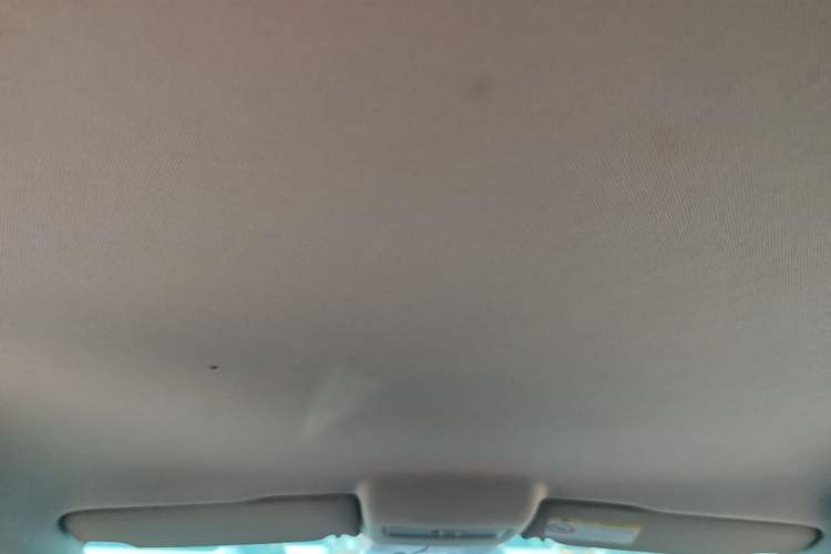 Used Volkswagen Polo 2016 1.4L Automatic Trendy Model Headliner