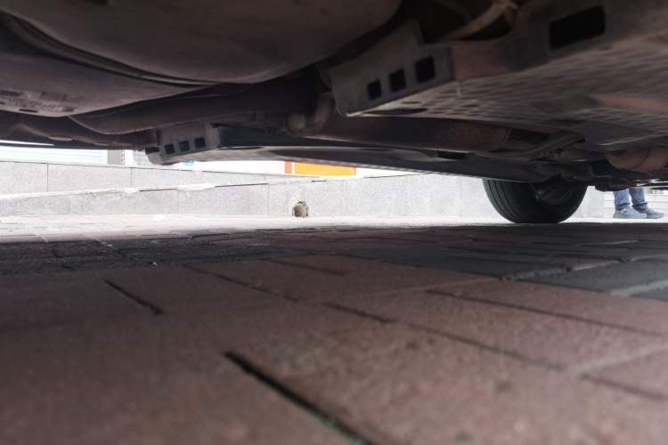 Used Volkswagen Polo 2016 1.4L Automatic Trendy Model Chassis Rear Right
