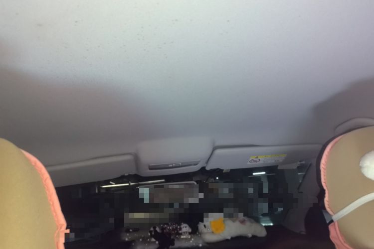 Used Volkswagen Polo 2016 1.4L Automatic Trendy Model Headliner