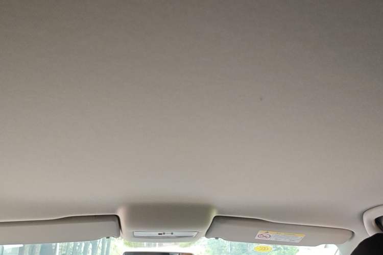 Used Volkswagen Polo 2016 1.4L Manual Fashion Model Headliner