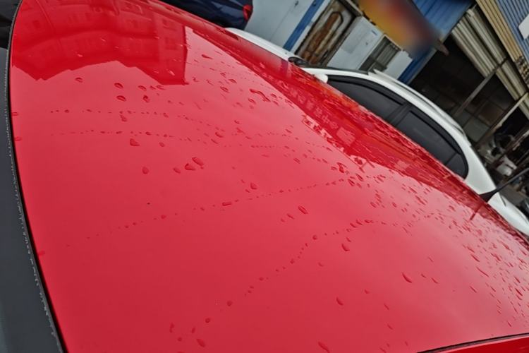 Used Volkswagen Polo 2016 1.4L Automatic Trendy Model Roof