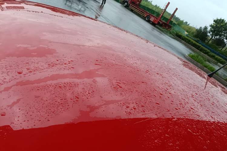 Used Volkswagen Polo 2016 1.4L Manual Fashion Model Roof