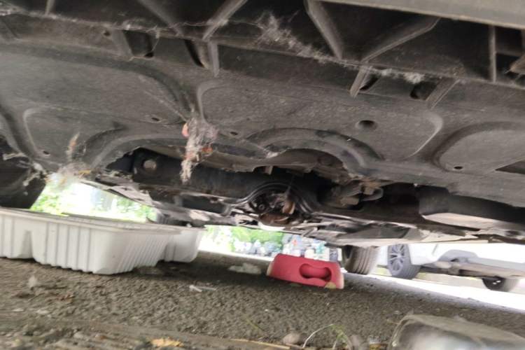 Used Volkswagen Polo 2016 1.6L Automatic Comfort Model Chassis Front