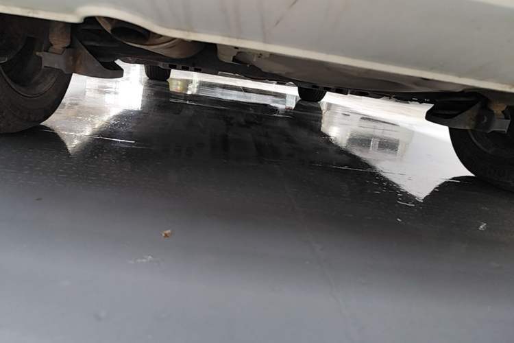 Used Volkswagen Polo 2016 1.4L Manual Fashion Model Chassis Rear