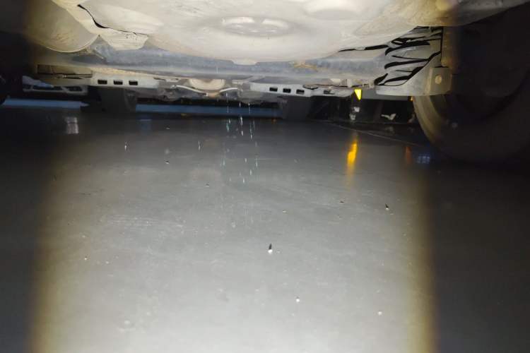 Used Volkswagen Polo 2016 1.6L Automatic Comfort Model Chassis Rear