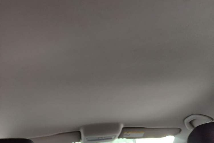 Used Volkswagen Polo 2016 1.4L Automatic Trendy Model Headliner