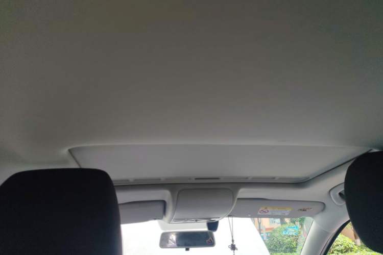 Used Volkswagen Polo 2016 1.6L Automatic Comfort Model Headliner