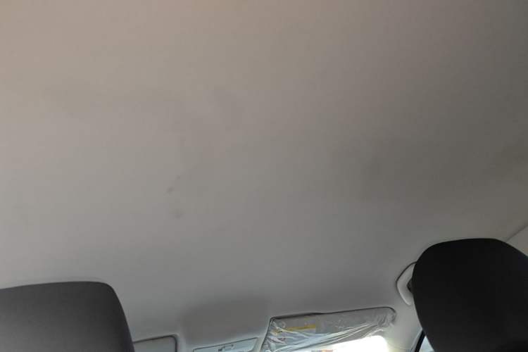 Used Volkswagen Polo 2016 1.4L Automatic Trendy Model Headliner