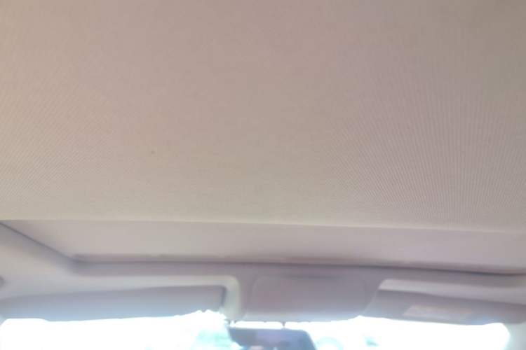 Used Volkswagen Polo 2016 1.6L Automatic Comfort Model Headliner