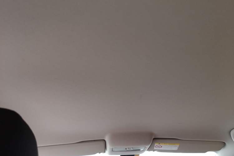 Used Volkswagen Polo 2016 1.4L Automatic Trendy Model Headliner