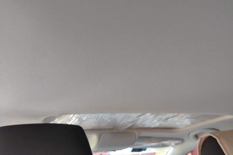 Used Volkswagen Polo 2016 1.6L Automatic Comfort Model Headliner