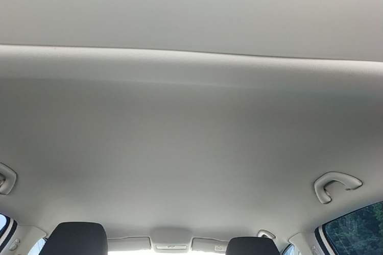 Used Volkswagen Polo 2016 1.4L Automatic Trendy Model Headliner