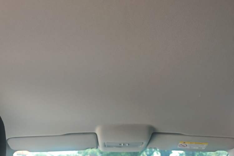 Used Volkswagen Polo 2016 1.4L Manual Fashion Model Headliner