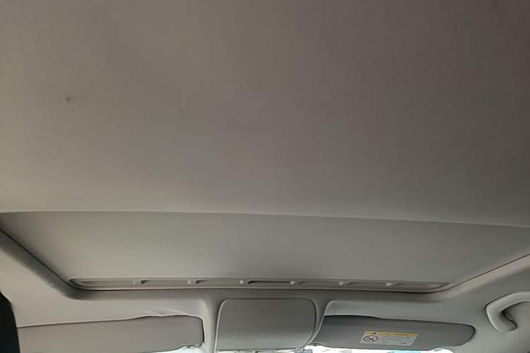 Used Volkswagen Polo 2016 1.6L Automatic Comfort Model Headliner