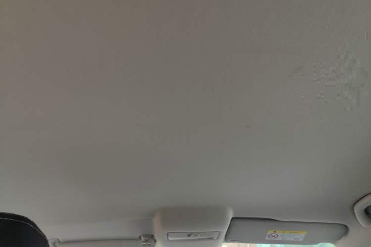Used Volkswagen Polo 2016 1.4L Manual Fashion Model Headliner