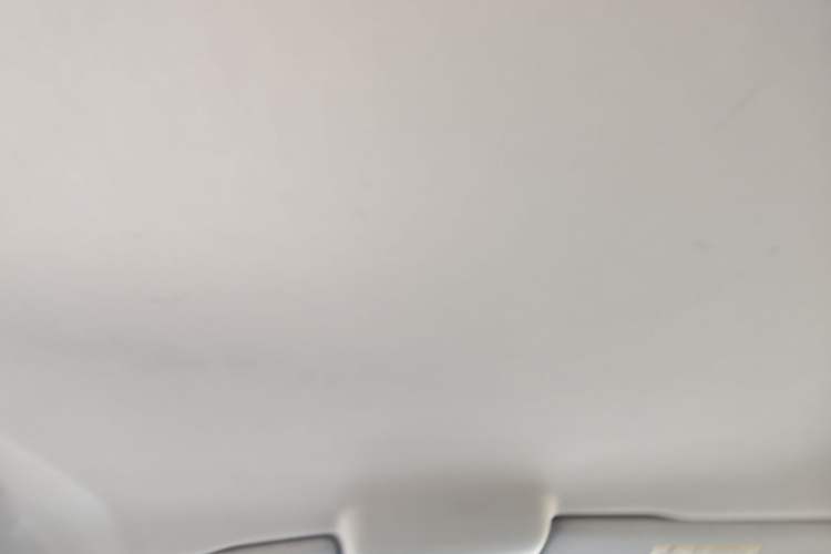 Used Volkswagen Polo 2016 1.4L Automatic Trendy Model Headliner