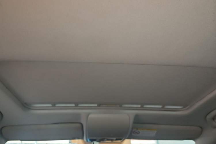 Used Volkswagen Polo 2016 1.6L Automatic Comfort Model Headliner