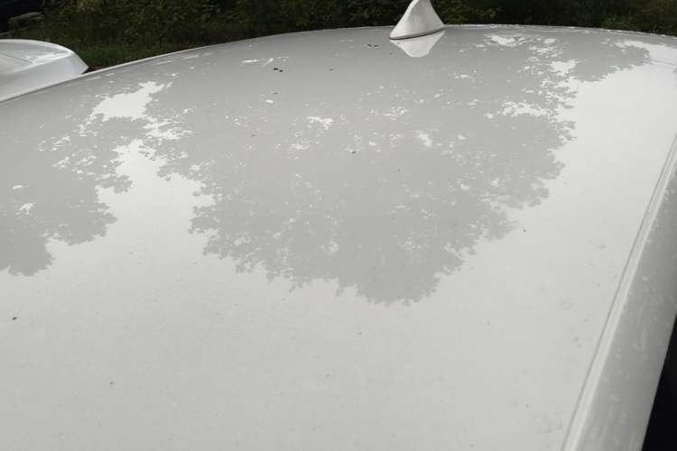 Used Volkswagen Polo 2016 1.4L Manual Fashion Model Roof