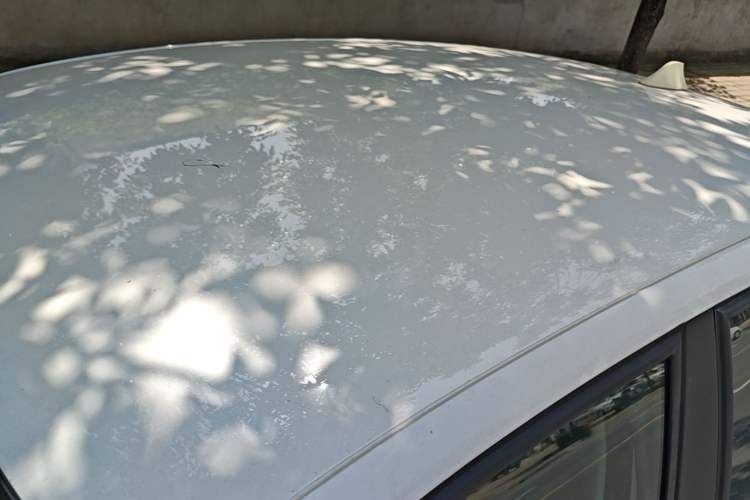 Used Volkswagen Polo 2016 1.4L Manual Fashion Model Roof