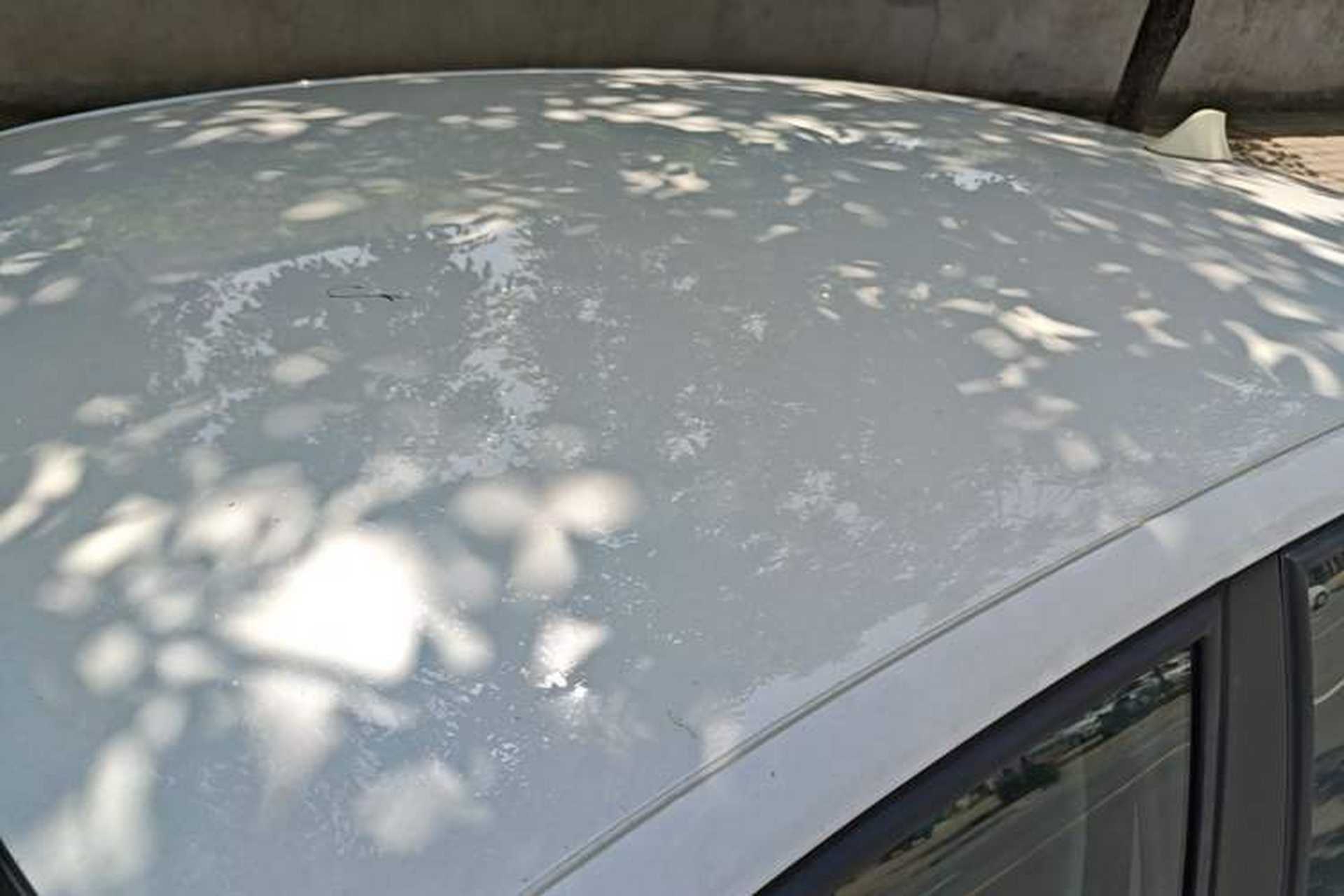 Used Volkswagen Polo 2016 1.4L Manual Fashion Model Roof