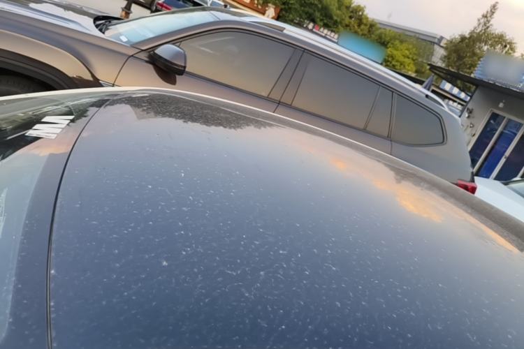 Used Volkswagen Polo 2016 1.4L Manual Fashion Model Roof