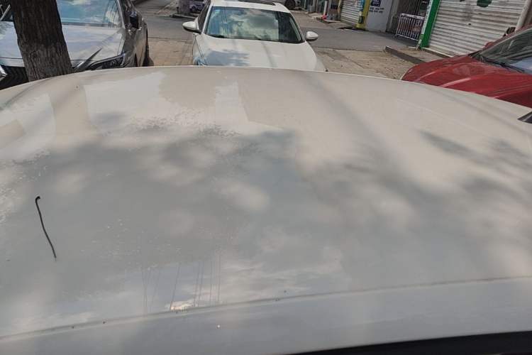 Used Volkswagen Polo 2016 1.4L Manual Fashion Model Roof