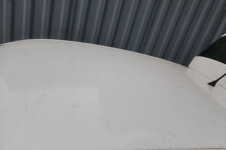 Used Volkswagen Polo 2016 1.4L Manual Fashion Model Roof