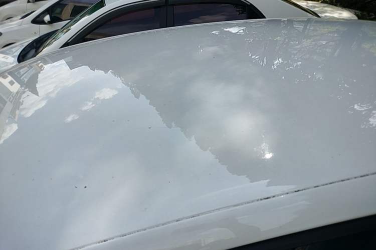 Used Volkswagen Polo 2016 1.4L Manual Fashion Model Roof