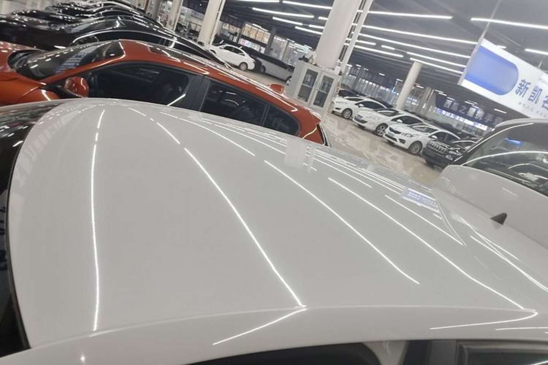 Used Volkswagen Polo 2016 1.4L Manual Fashion Model Roof