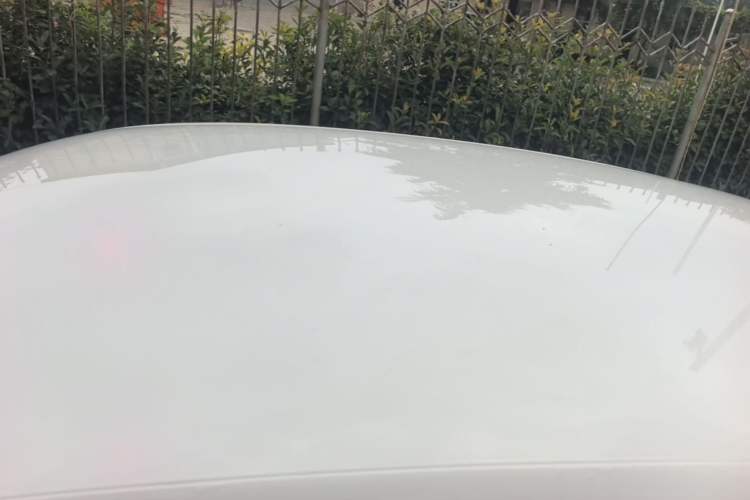 Used Volkswagen Polo 2016 1.4L Manual Fashion Model Roof