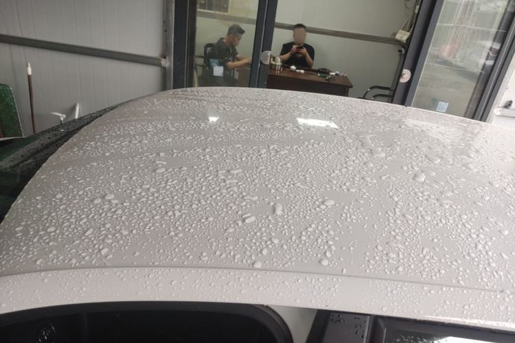 Used Volkswagen Polo 2016 1.4L Manual Fashion Model Roof