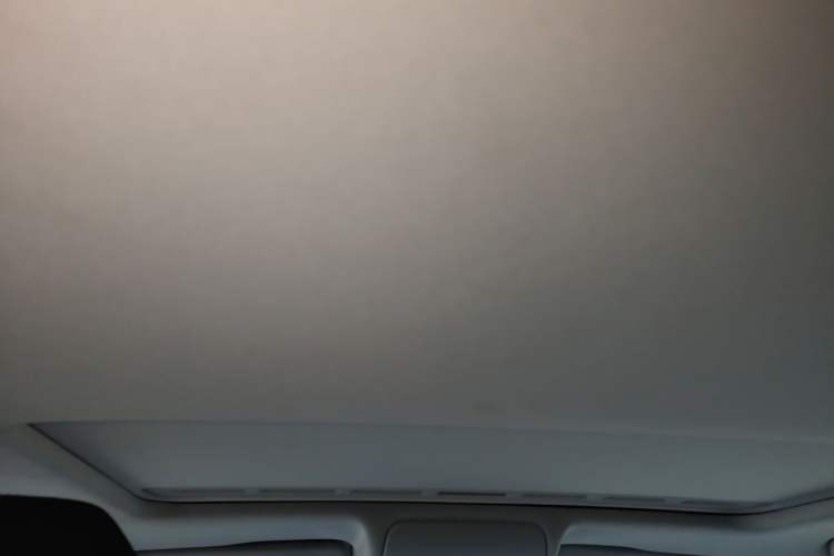 Used Volkswagen Polo 2016 1.6L Cross Polo Automatic Headliner