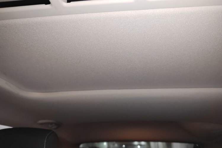 Used Volkswagen Polo 2016 1.6L Cross Polo Automatic Headliner