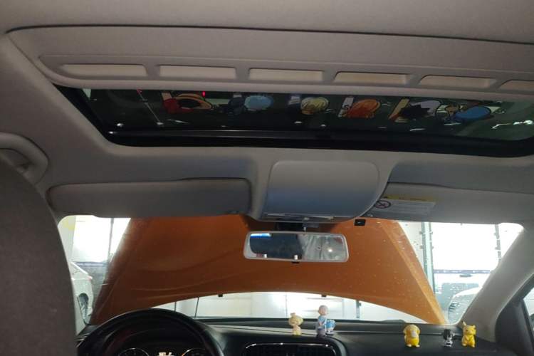 Used Volkswagen Polo 2016 1.6L Cross Polo Automatic Headliner