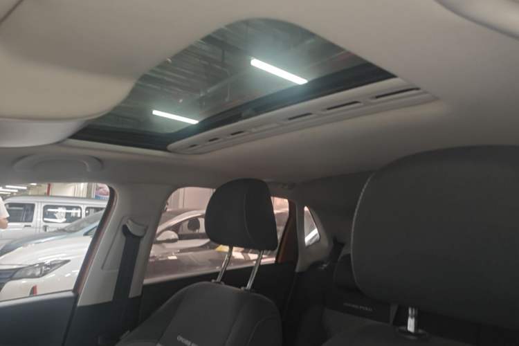 Used Volkswagen Polo 2016 1.6L Cross Polo Automatic Headliner