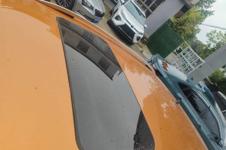Used Volkswagen Polo 2016 1.6L Cross Polo Automatic Roof