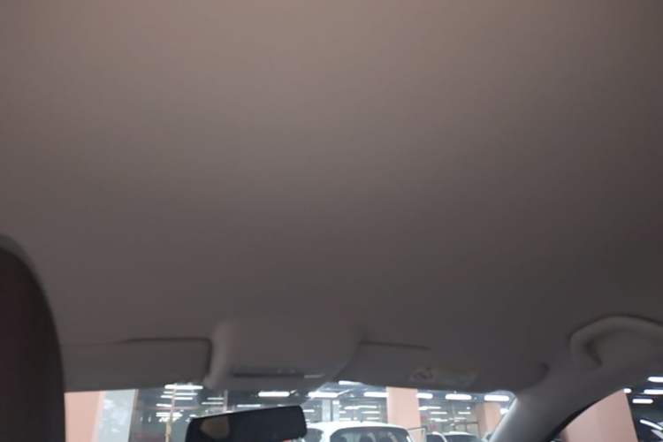 Used Volkswagen Polo 2018 1.5L Automatic Advanced Driving Model Headliner