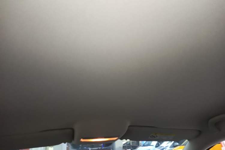 Used Volkswagen Polo 2018 1.5L Automatic Advanced Driving Model Headliner