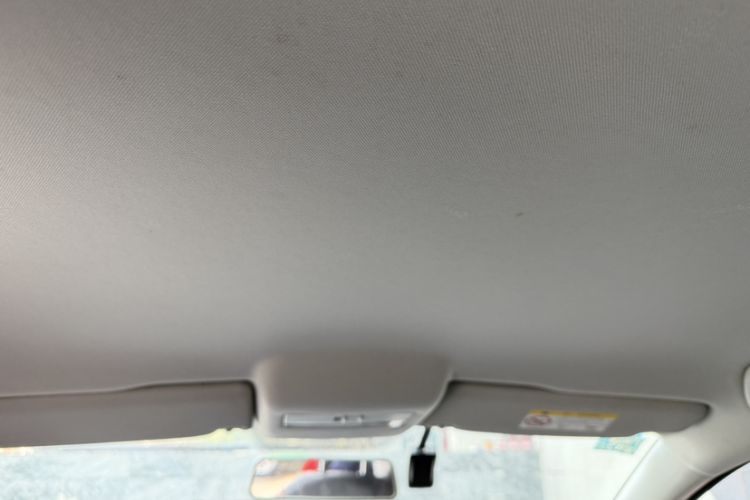Used Volkswagen Polo 2018 1.5L Automatic Advanced Driving Model Headliner