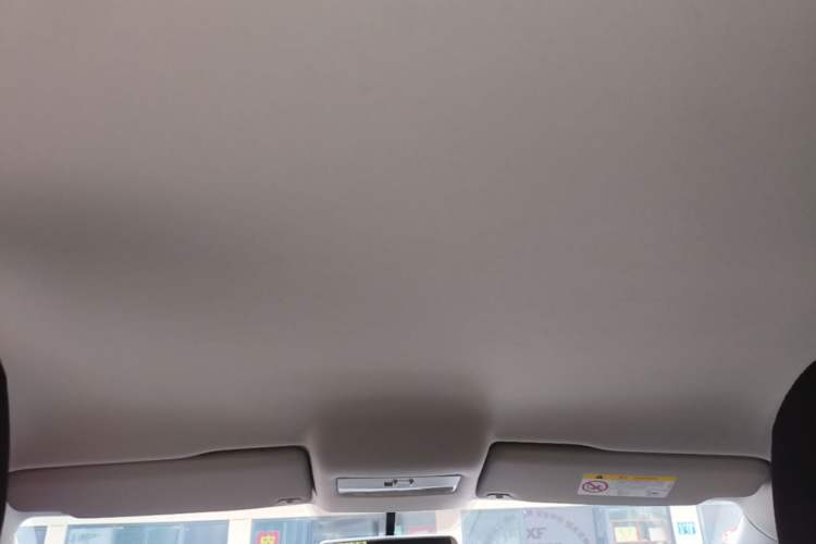 Used Volkswagen Polo 2018 1.5L Automatic Advanced Driving Model Headliner